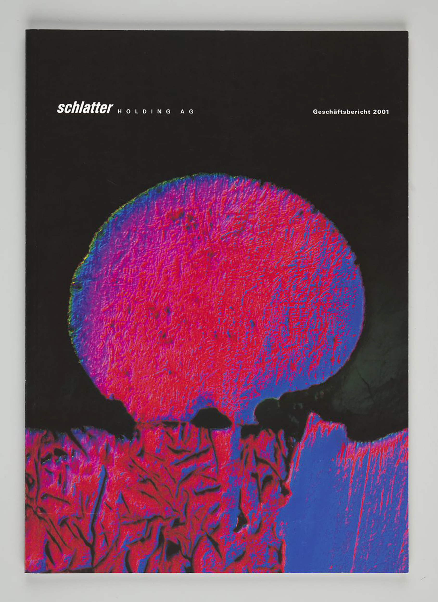 Schlatter Holding AG, Geschäftsbericht 2001