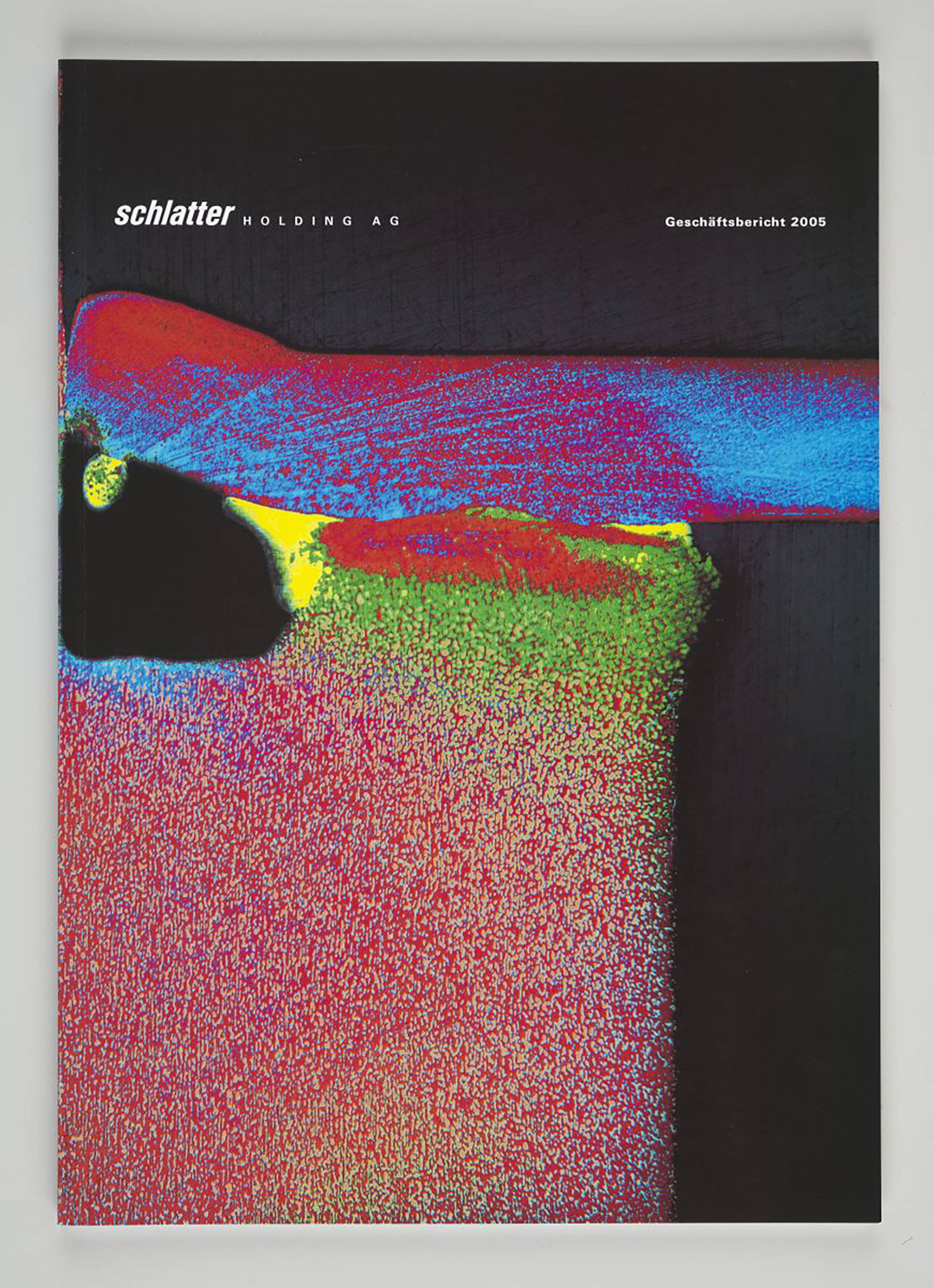 Schlatter Holding AG, Geschäftsbericht 2005